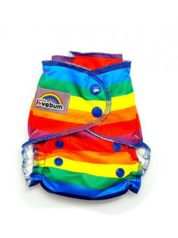 Couche NEWBIE - STORM BORN
