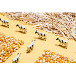 Bouteille sensorielle FERME