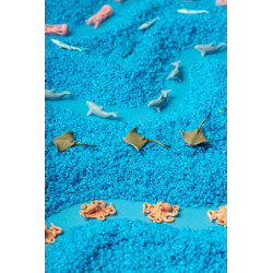 Bouteille sensorielle MER