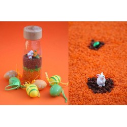 Bouteille sensorielle LAPIN