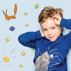 EDITION SPECIALE Kit set à colorier + feutres LE PETIT PRINCE