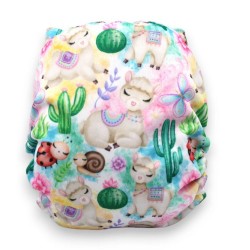 Couche évolution LAMAS -...