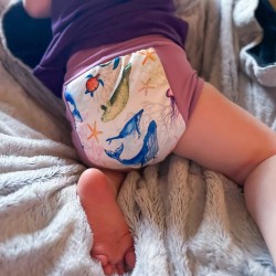 Culotte absorbante de nuit pour bambin coeur absorbant chanvre et coton thème fonds marins