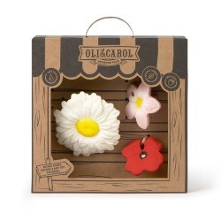 3 fleurs : daisy, coquelicot et frangipanier en caoutchouc naturel pour soulager les dents douloureuses de bébé