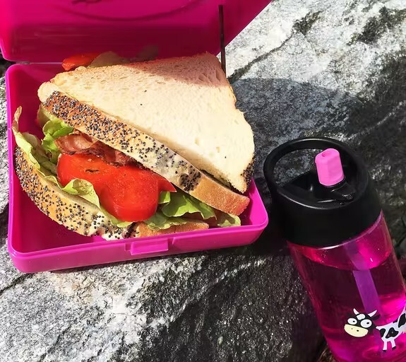 carl_oscar_boite_sandwich_picnic